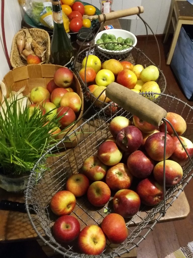 herbstliche Ernte