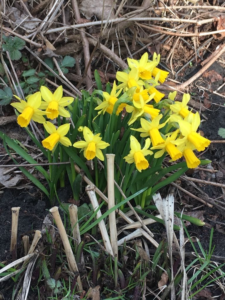 Frühling
