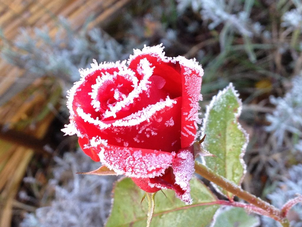 woche11
