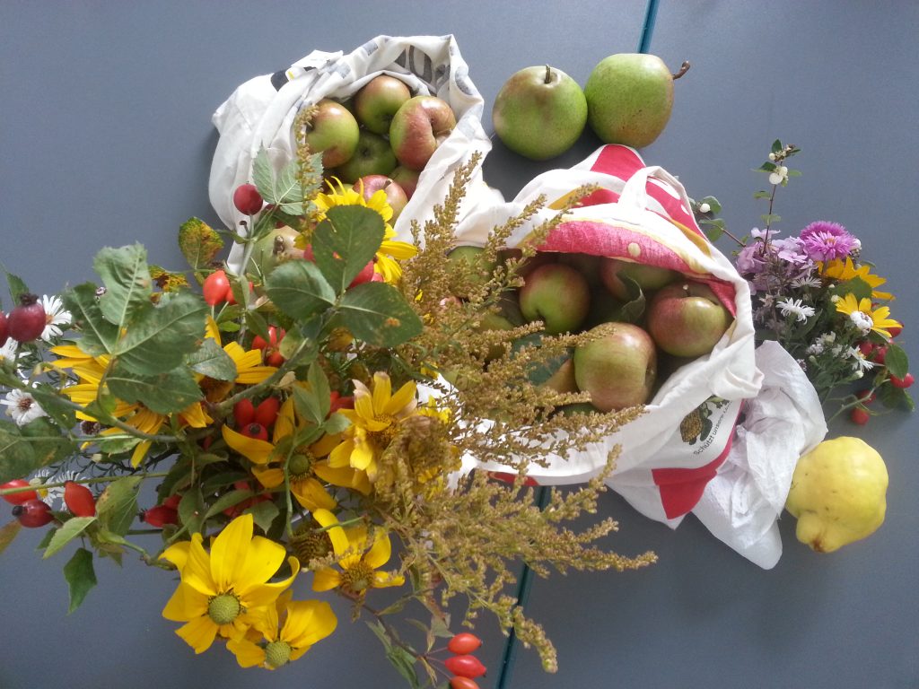 herbstausflug-woche-6