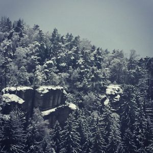 verschneite Wipfel